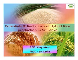 Potentials and Limitations of Hybrid Rice Production in Sri Lanka  (S.W. Abeysekera)