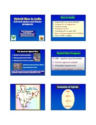 Hybrid Rice Research and Development in India (B.C. Viraktamath)