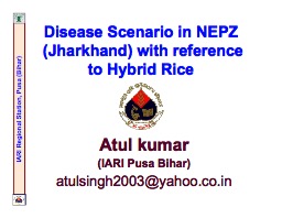 Disease scenario in North Eastern Plain Zone (Jharkland) with reference to Hybrid Rice (Atul Kumar)