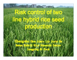 Risk Control of Two Line Hybrid Rice Seed Production  (Chengshu Zhou)