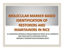 Molecular Marker Based Identification of Restorers and Maintainers in Rice (Rajendra Krishna)