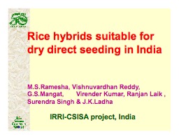 Rice Hybrids suitable for Dry Direct Seeding in India   (Ramesha Mugalodi)