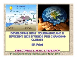 Developing Heat Tolerance and N efficient Rice Hybrids for Changing Climate  (SR Voleti)