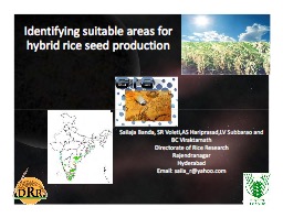 Identifying Suitable Areas for Hybrid Rice Seed Production  (Sailaja Banda)