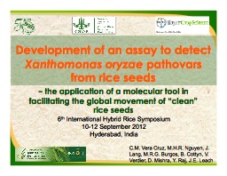 Development of an Assay to detect Xanthomonas Oryzae Pathovars from Rice Seeds  (Casiana Vera Cruz)
